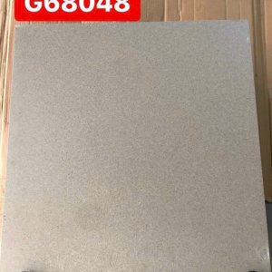 Ảnh thực tế gạch Taicera G68048 60x60 Park Way