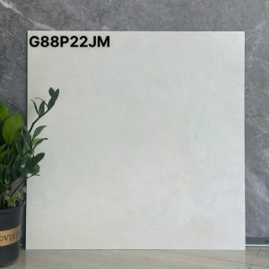 Ảnh thực tế gạch Taicera G88P22JM 80x80 Cement