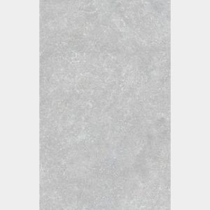Gạch Taicera G63220J 30x60 Tràng An bề mặt matt xám sáng