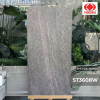 Gạch Taicera ST3608W 30×60